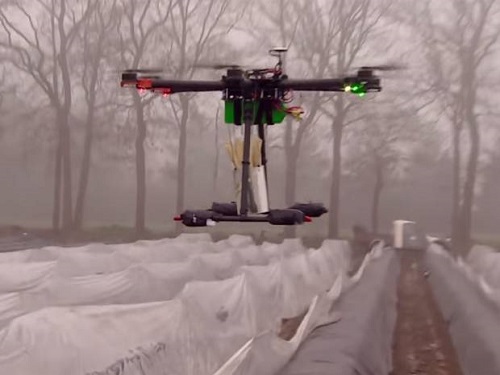 Drone delivering “first asparagus of the season” to Dutch restaurant crashes and burns