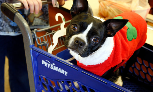 PetSmart using Deliv for same-day and scheduled deliveries