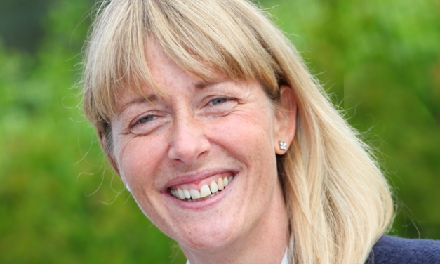 Europa on the Road to more growth in 2017