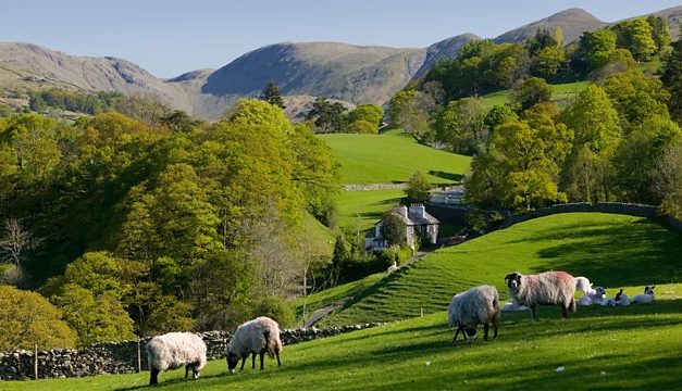 Countryside connections