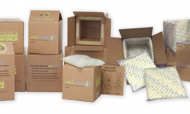 BillerudKorsnäs invests in cold chain packaging company Vericool