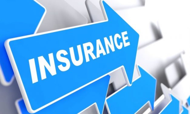Chinese express delivery consortium setting up logistics insurer