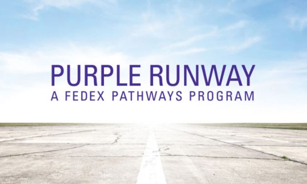 Pilot programme