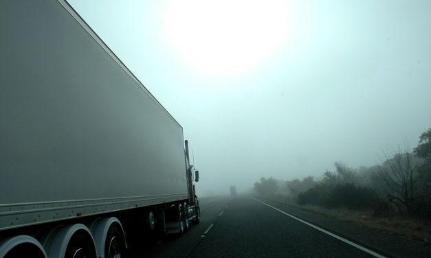 How the Polar bear taught me about Trackers