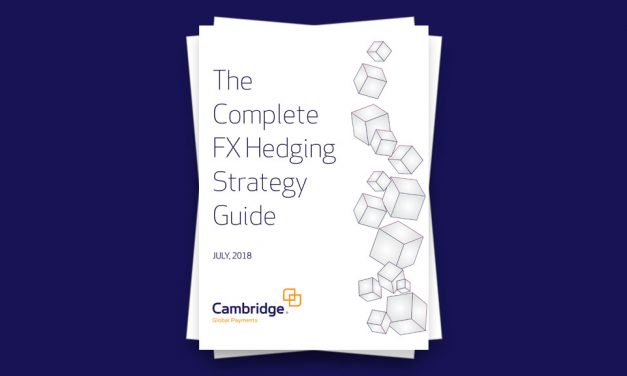 The Complete FX Hedging Strategy Guide