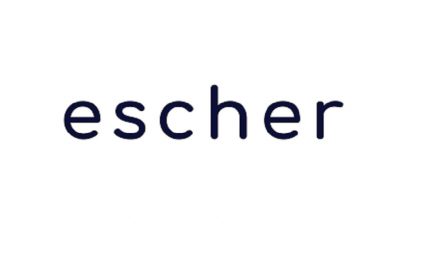 Escher: helping posts reduce parcel processing and sortation costs