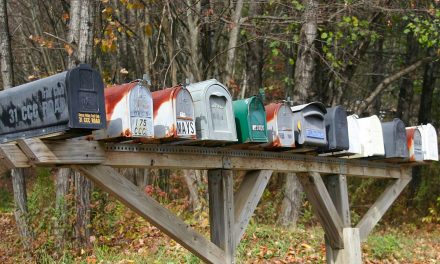 Public-Private Partnerships and The Future of the Mail
