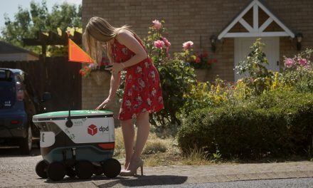 DPD: we want to find out if delivery robots could help us take vans off the road