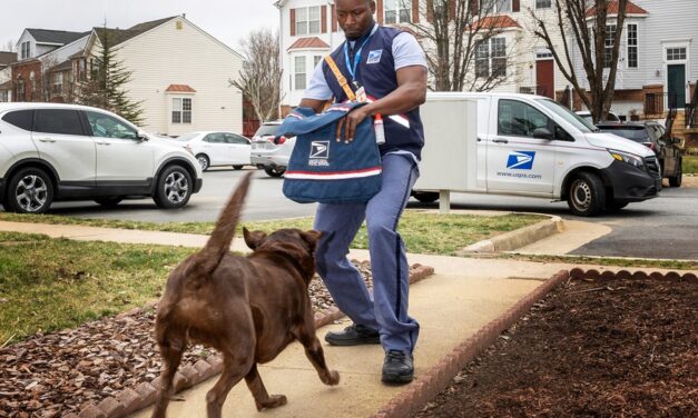USPS: All dogs — regardless of breed, size or age — have the potential to bite