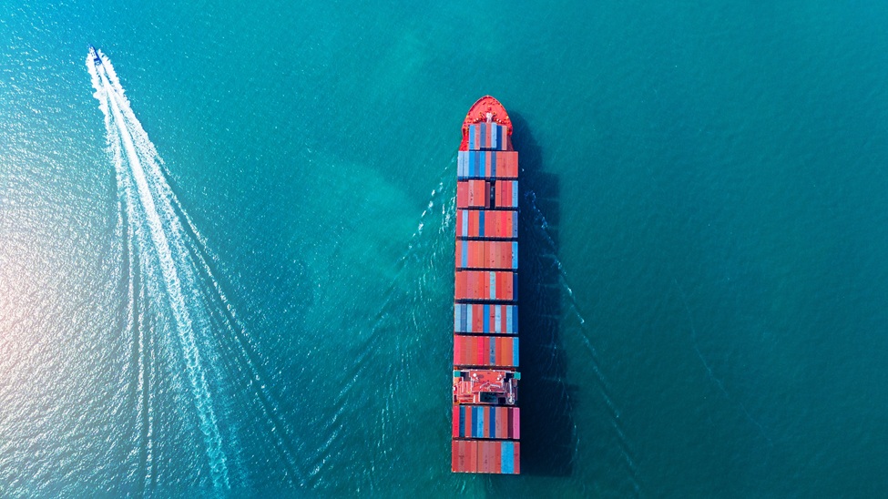 29.4% of transport & storage companies are concerned about the impact of international conflict.