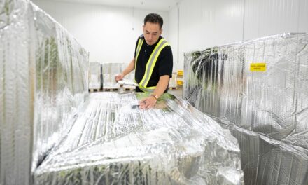 UPS: we’re doing more than moving packages