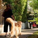 Australia Post concerned by rising dog-bite incidents