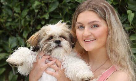 An Post: Dog-related incidents remain a significant concern