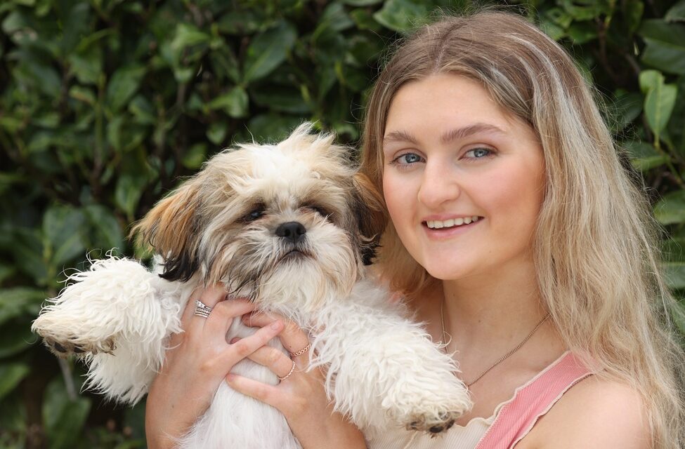 An Post: Dog-related incidents remain a significant concern